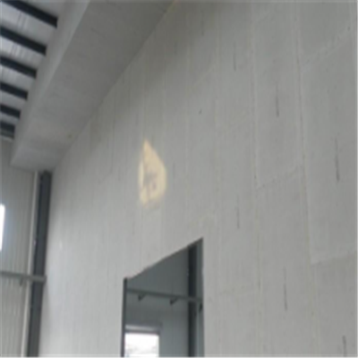 黑河宁波ALC板|EPS加气板隔墙与混凝土整浇联接的实验研讨
